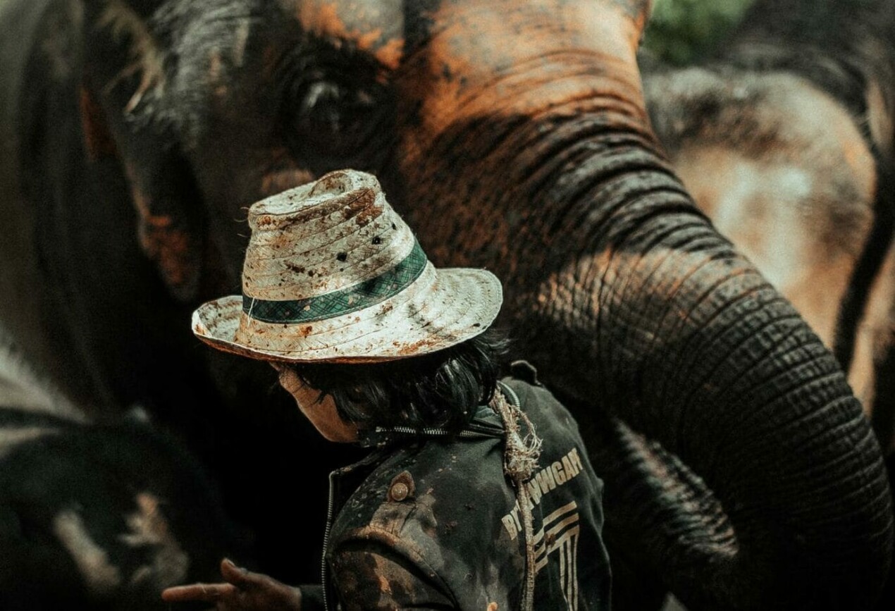 A man with an elephant.